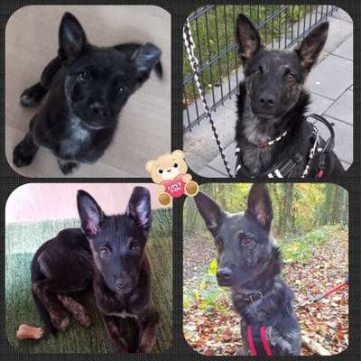 Vorher.... Nachher-Beitrag-Bild