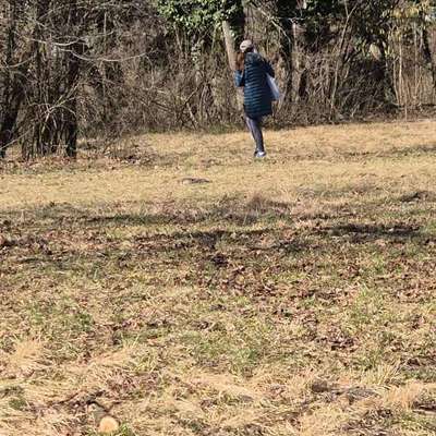 Giftköder-Mögliche Gefahr-Bild