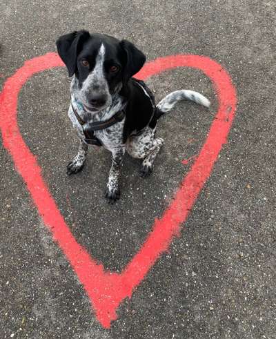 Handy-Foto Challange Nr. 10-Beitrag-Bild