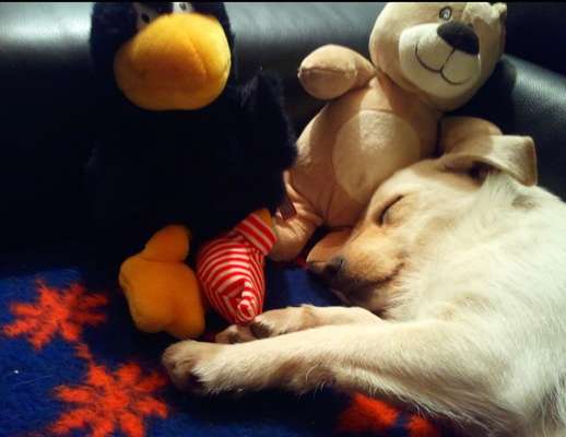 Fotochallange Nummer 5-Beitrag-Bild