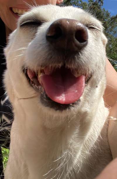 Tongue Out Tuesday-Beitrag-Bild