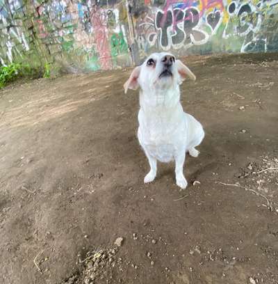 FOTOCHALLENGE 86-Beitrag-Bild