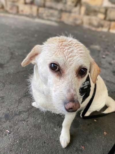 Dogorama Photo Challenge - Steine/Felsen-Beitrag-Bild