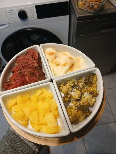 Zeigt her Eure Futternäpfe-Beitrag-Bild