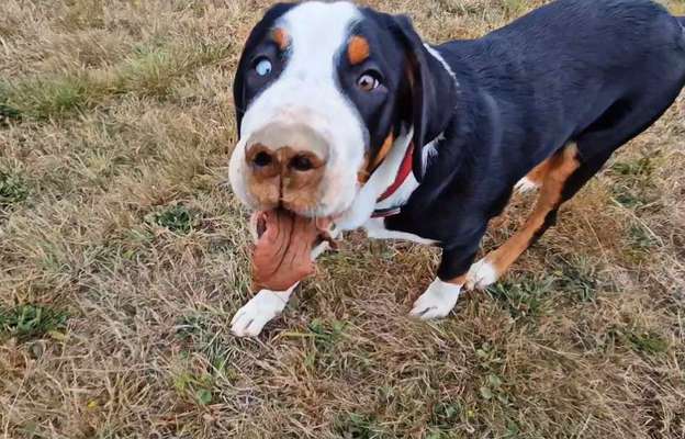 Handyfoto challenge Nr. 13: Waschlappen raus!-Beitrag-Bild