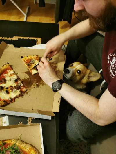 Fotochallenge 31 - Das perfekte Hundedinner-Beitrag-Bild