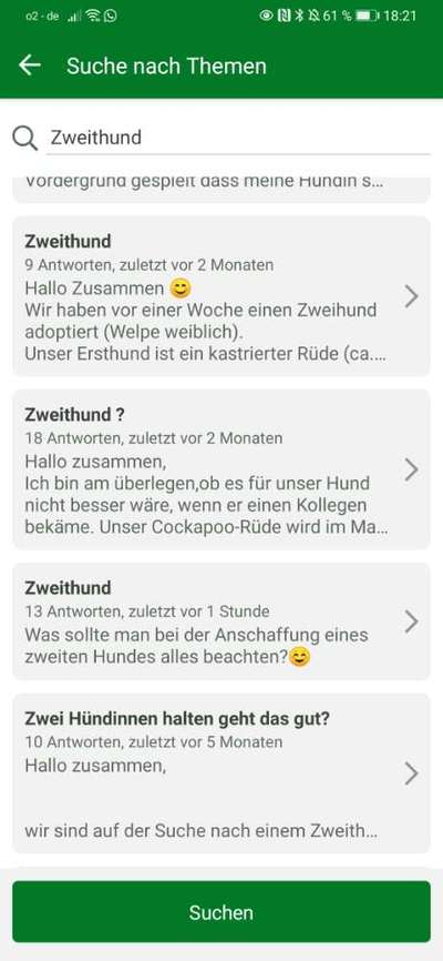 Zweithund-Beitrag-Bild