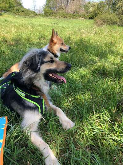 Challenge 30  Freundschaft-Beitrag-Bild