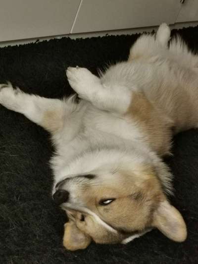 Die unbequemsten und lustigsten Schlafpositionen-Beitrag-Bild