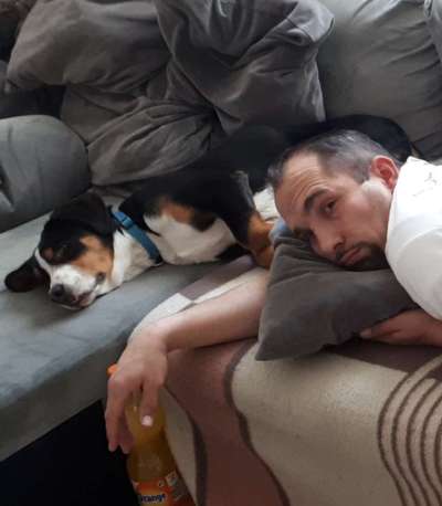 Weitere Große Schweizer Sennenhunde (oder andere große Rassen) hier?-Beitrag-Bild