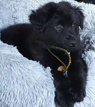 Lieblingsbild-Beitrag-Bild