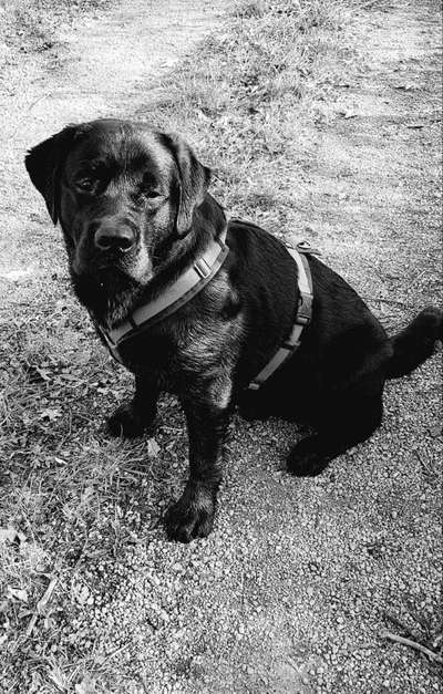 Foto-Challenge 76: Foto in Schwarz-Weiss-Beitrag-Bild