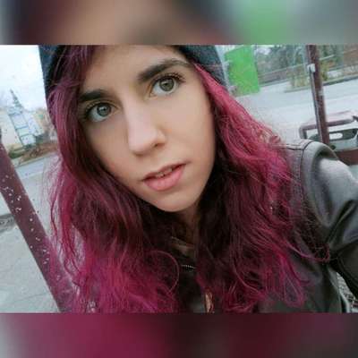 Hundetreffen-Wer möchte mit uns gassi gehen?