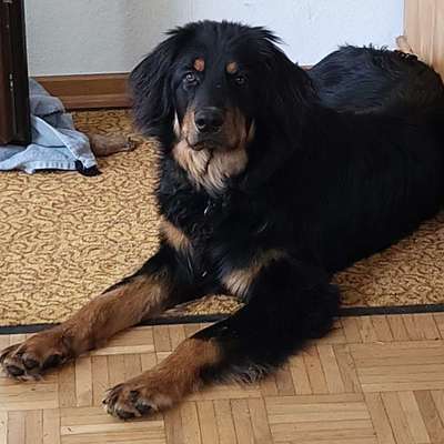 Friedhelm's Profilbild