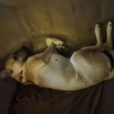 Lustige Grimassen & verrückte Posen-Beitrag-Bild