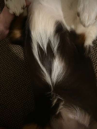 Fotochallenge Nr.65-Beitrag-Bild