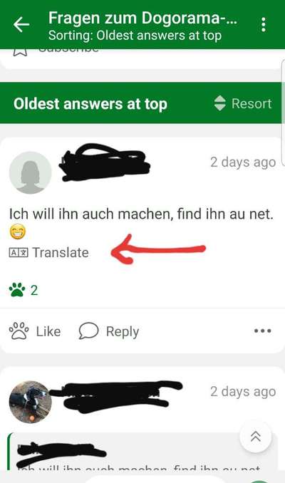 Fragen zum Dogorama-Hundeführerschein-Beitrag-Bild