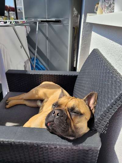 FOTO-Challenge  NR. 91: Die pure Entspannung-Beitrag-Bild