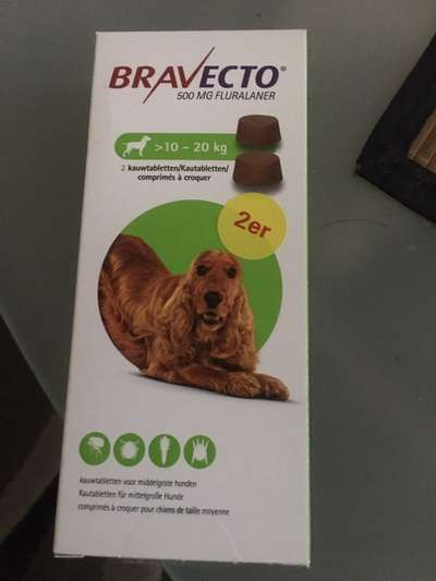 Zeckenstich - Tierarzt nötig?-Beitrag-Bild