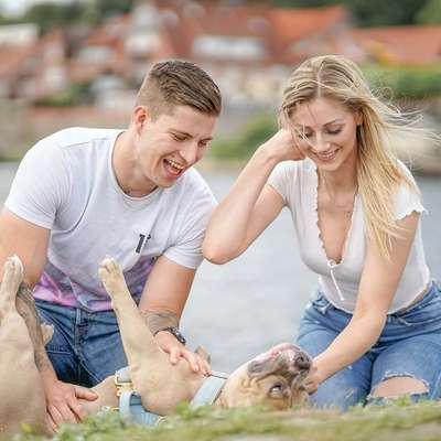 Hundetreffen-Fotos von euch und euren Hunden ☺️-Bild