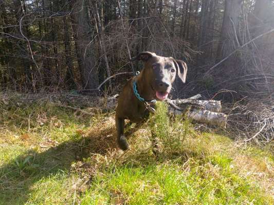 FOTO CHALLENGE Thema ,,durchdrehen"-Beitrag-Bild