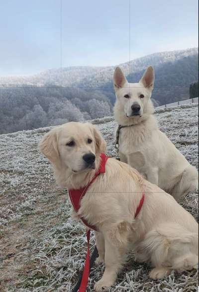 Der erste Schnee, zeigt uns eure tollen Schneemomente-Beitrag-Bild