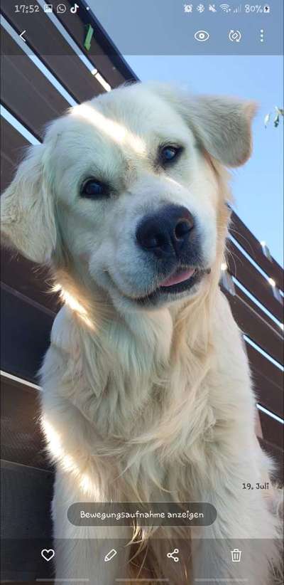 Handyfoto challenge Nr. 13: Waschlappen raus!-Beitrag-Bild