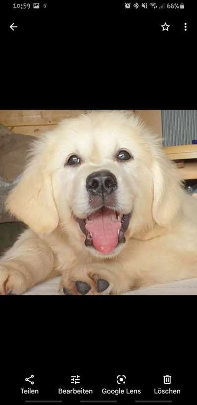 Fotochallange Nr. 57     PORTRÄT.   Beendet!!!!!!!!-Beitrag-Bild