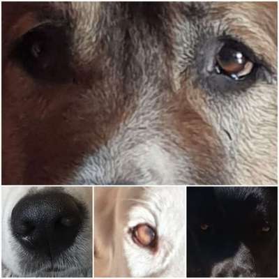 7. Collagen Challenge - Ganz Nah-Beitrag-Bild