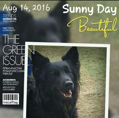 Photoshop und Co.-Beitrag-Bild