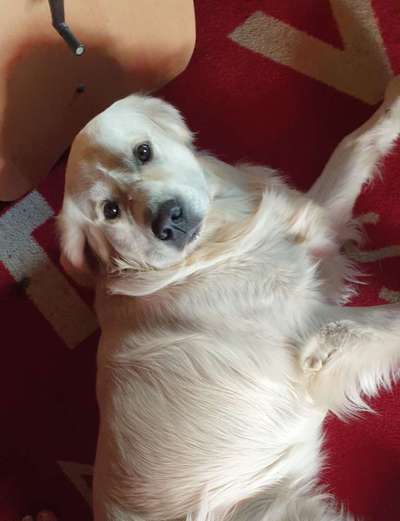 Handy-Foto Challange Nr. 10-Beitrag-Bild