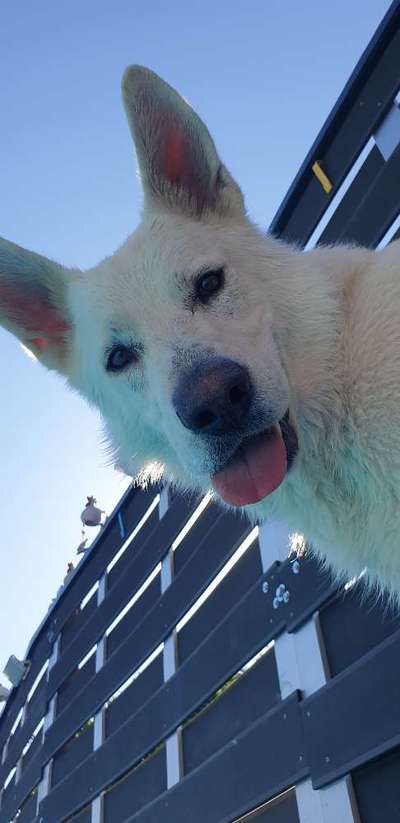 Handyfoto challenge Nr. 13: Waschlappen raus!-Beitrag-Bild