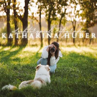 Tierfotografen-Lichterspiel Fotografie-Bild