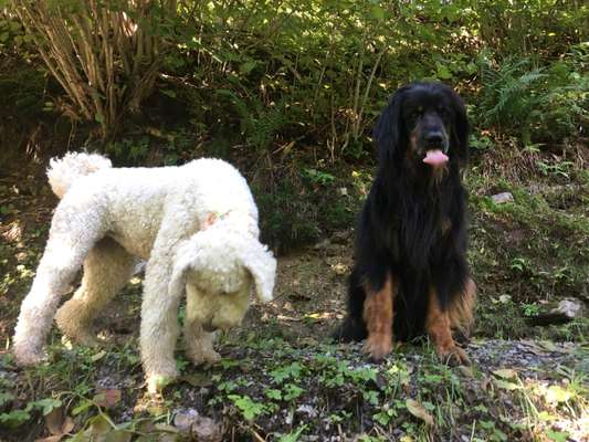 Fotochallange Nr. 57     PORTRÄT.   Beendet!!!!!!!!-Beitrag-Bild