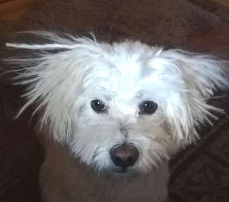 Fotochallange Nr. 57     PORTRÄT.   Beendet!!!!!!!!-Beitrag-Bild