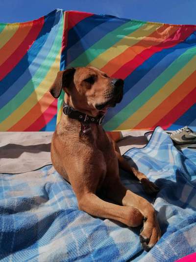 Zeigt eure Portraits-Beitrag-Bild