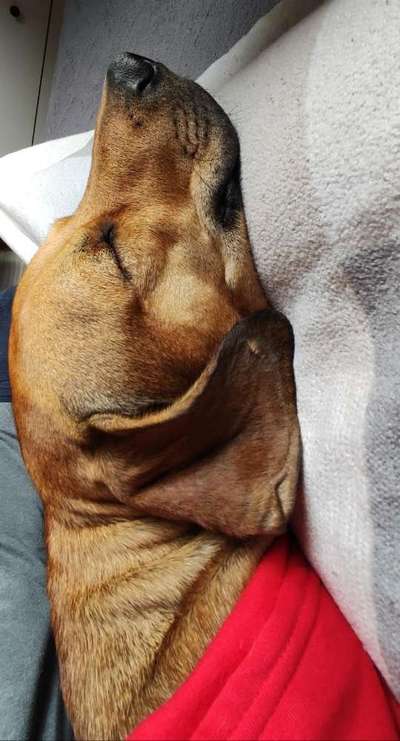 Zeigt eure Portraits-Beitrag-Bild