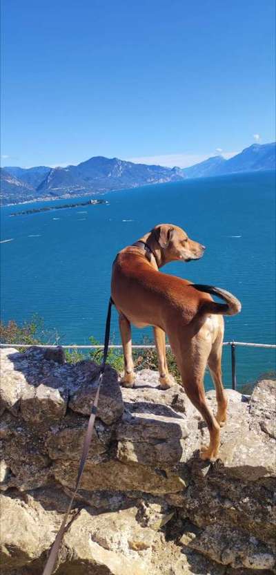 Video challenge Nr. 1 Sommer Abenteuer 2022-Beitrag-Bild