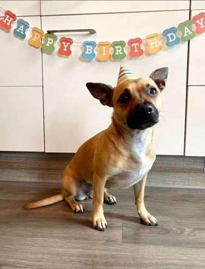 Zeigt eure Portraits-Beitrag-Bild