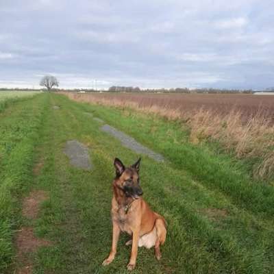 Suchmeldung-Chuck-Bild