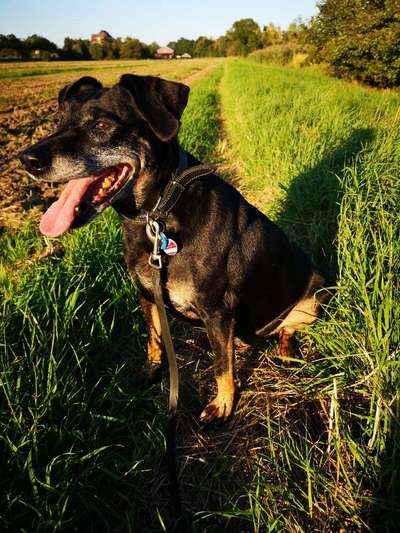 Fotochallenge Nr. 62 Romantische Momente-Beitrag-Bild