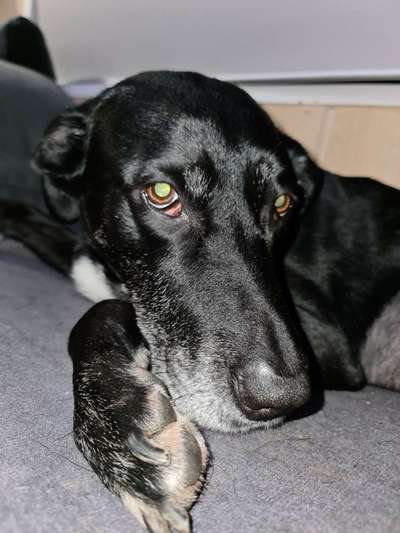 Fotochallange Nr. 57     PORTRÄT.   Beendet!!!!!!!!-Beitrag-Bild