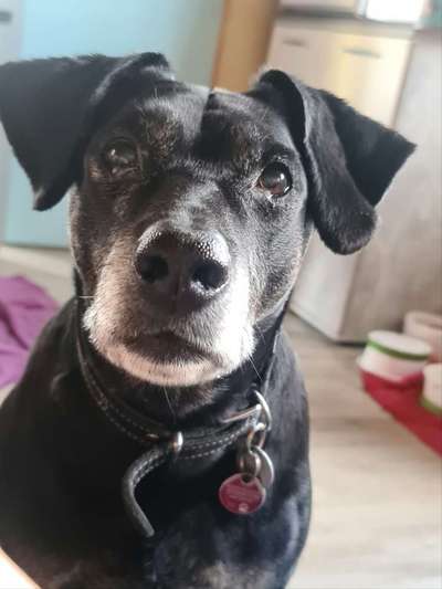 Fotochallange Nr. 57     PORTRÄT.   Beendet!!!!!!!!-Beitrag-Bild