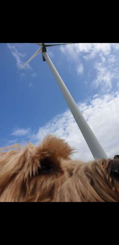 Un...scharf Bilder-Beitrag-Bild