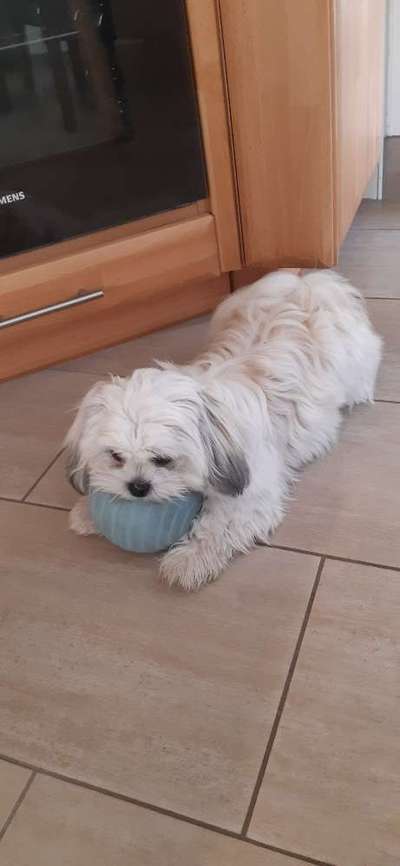 Vor dem Friseur - nach dem Friseur-Beitrag-Bild