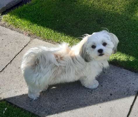 Doppelgänger gesucht !-Beitrag-Bild