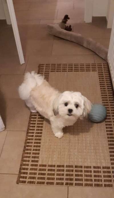 Vor dem Friseur - nach dem Friseur-Beitrag-Bild