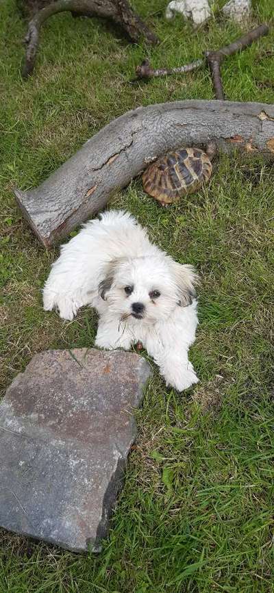 Handy-Foto Challange Nr. 10-Beitrag-Bild