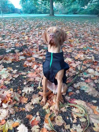 Fotochallenge No. 26                                     Wald und Wiese-Beitrag-Bild