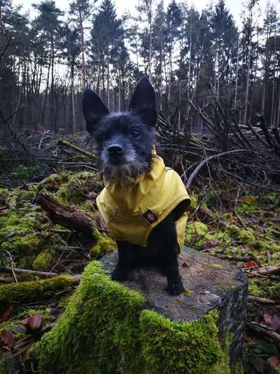 Fotochallenge Nr. 56 - geliebte Senioren-Beitrag-Bild